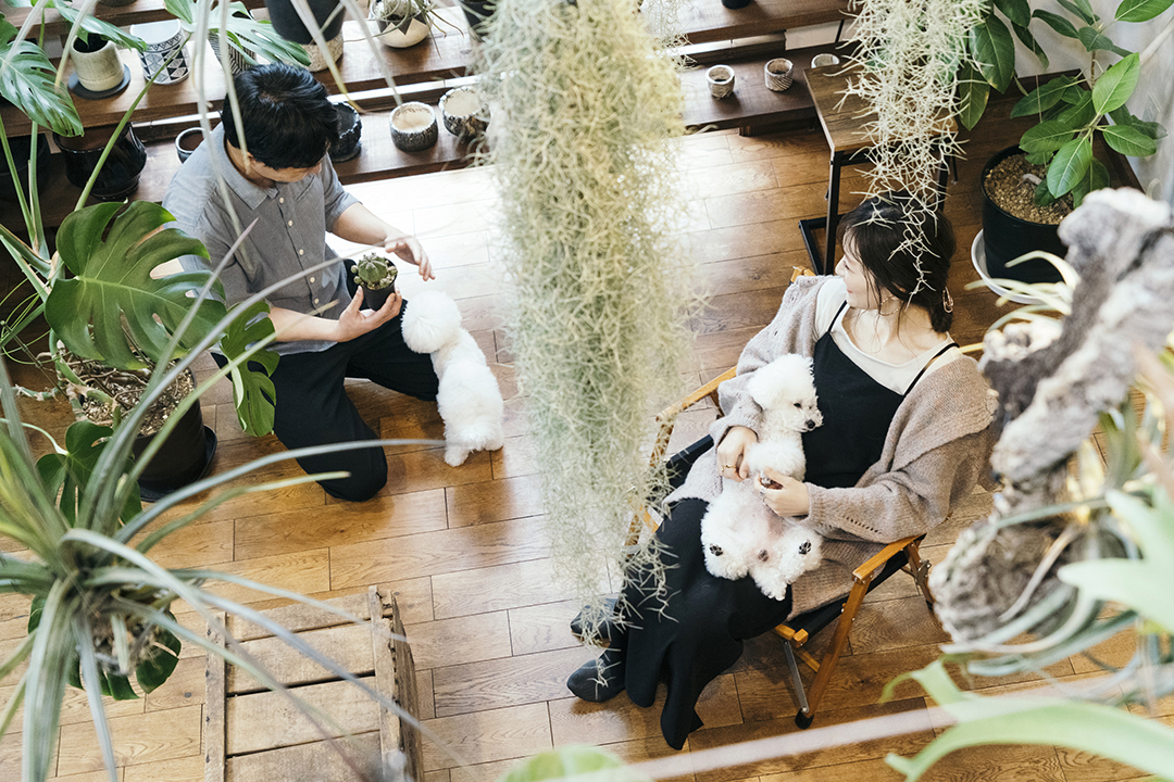 植物とともに暮らす心地よさを、住まいづくりに──Akiraさん×ウィザースホーム コラボ連載スタート【第1回】