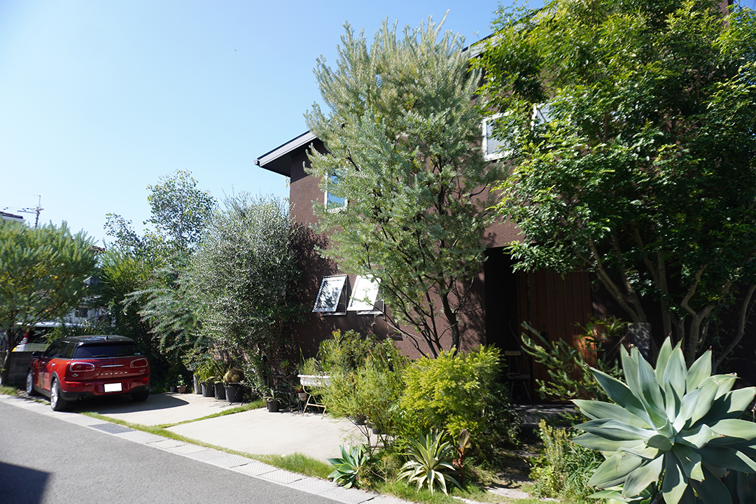 家の印象をランクアップ！外観を引き立てるシンボルツリー5選──Akiraさん×ウィザースホーム コラボ連載【第２回】