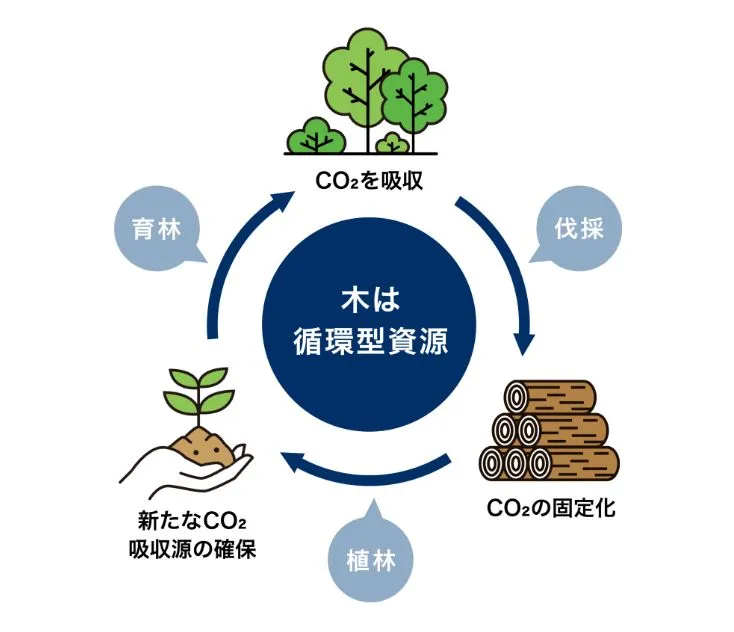 森を守り、CO2を出さない木の家に