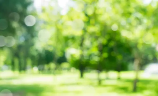 ウィザースホームの家