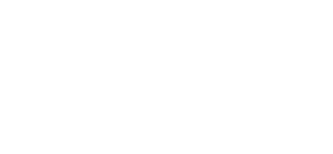 20 FAMILY'S LIFE COMPLETED IN 2006