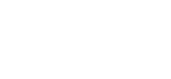 20 FAMILY'S LIFE COMPLETED IN 2004