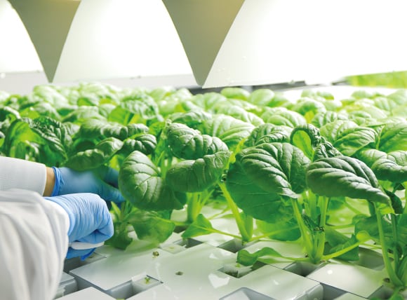 アグリビジネス事業