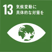 sgds13